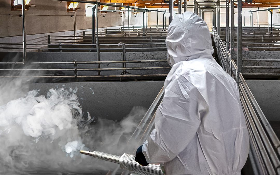 Importancia de la desinfección en la producción animal
